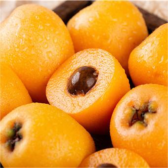 Five-star Loquat Seeds|🍑Flat 50% Saving🍑